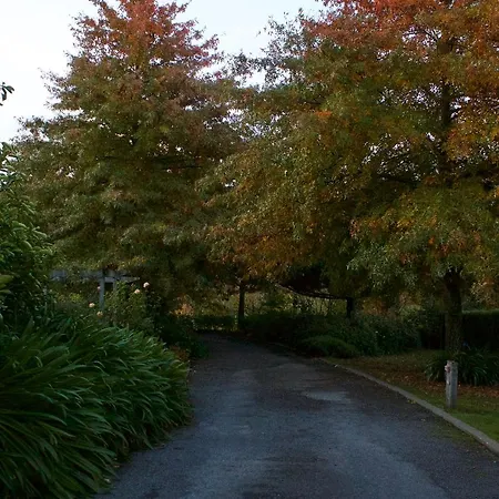 Ryland Estate B&B Kaituna Exterior foto