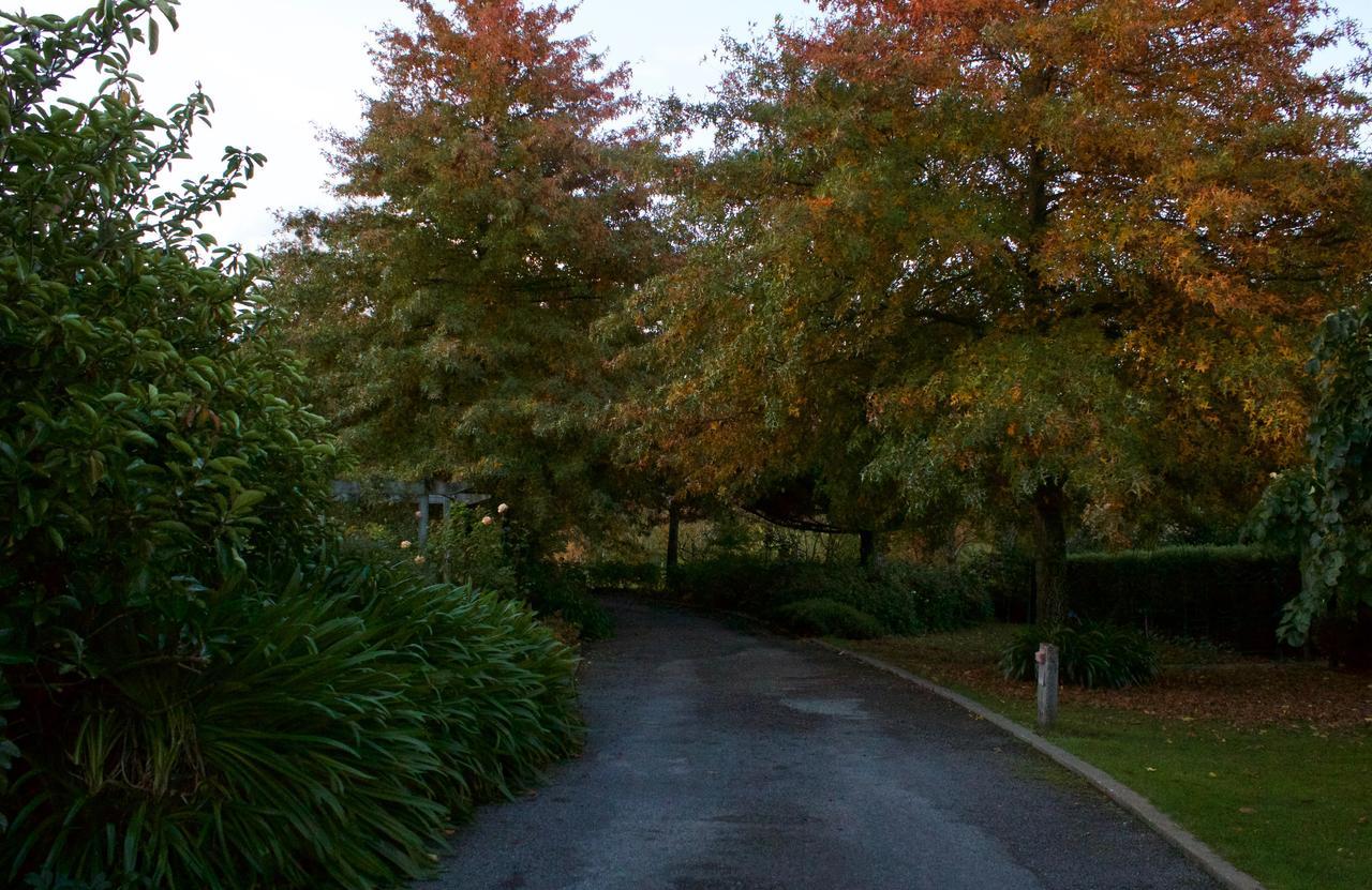 Ryland Estate *